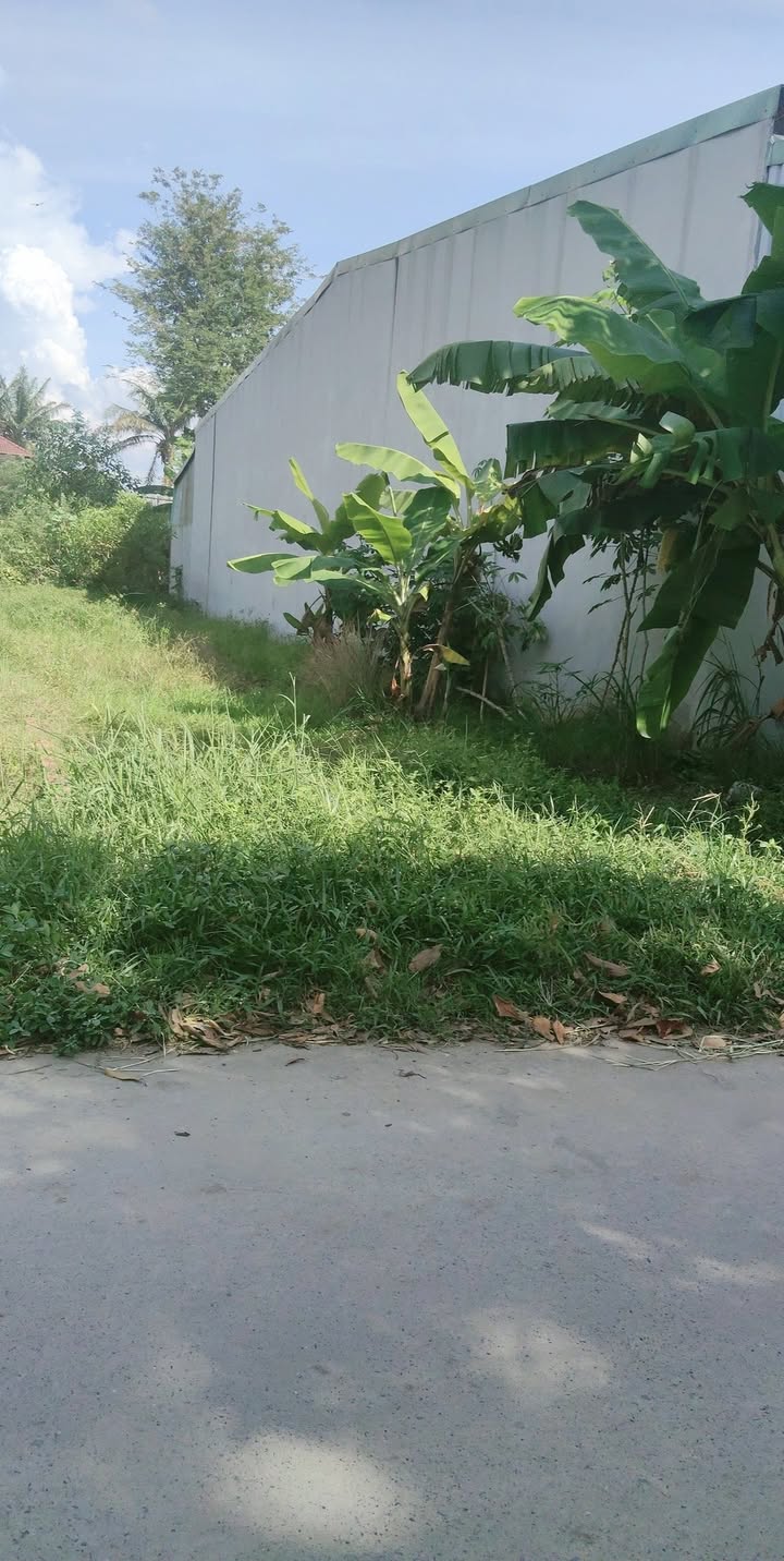 Đất nền mặt tiền xã Mỹ Hạnh Nam 125m² giá 1.5 tỷ - Sổ hồng chính chủ