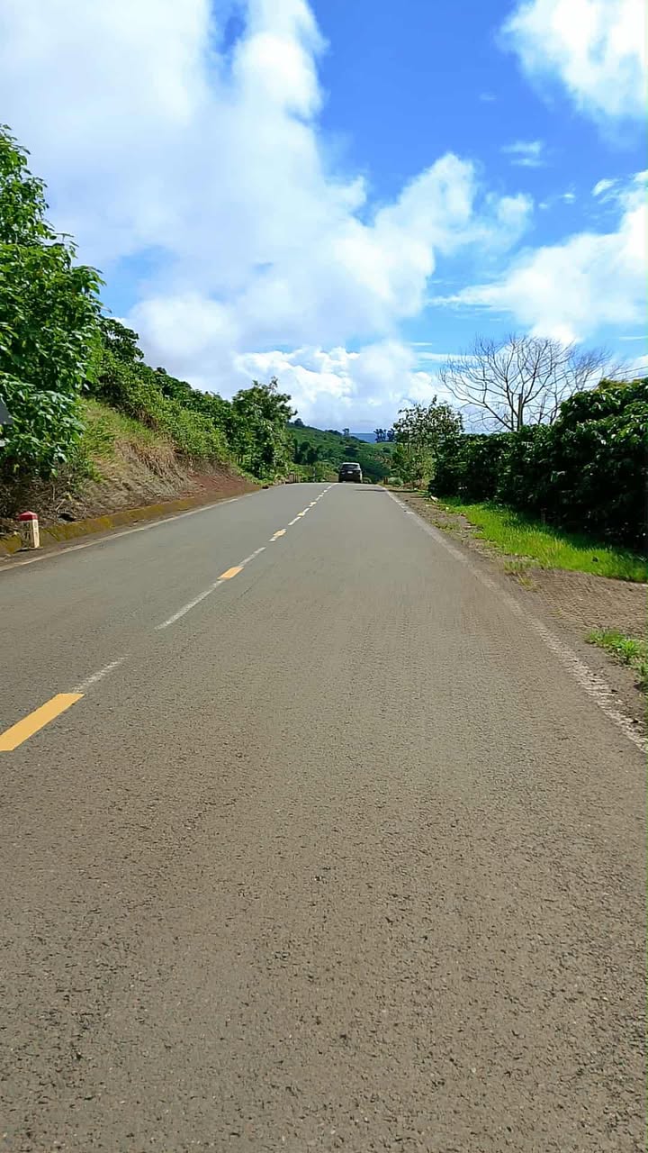 Đất Farm mặt tiền đường 725 tại Tân Lâm, 48,000m² chỉ 2.2 tỷ - Cơ hội đầu tư sinh lời!