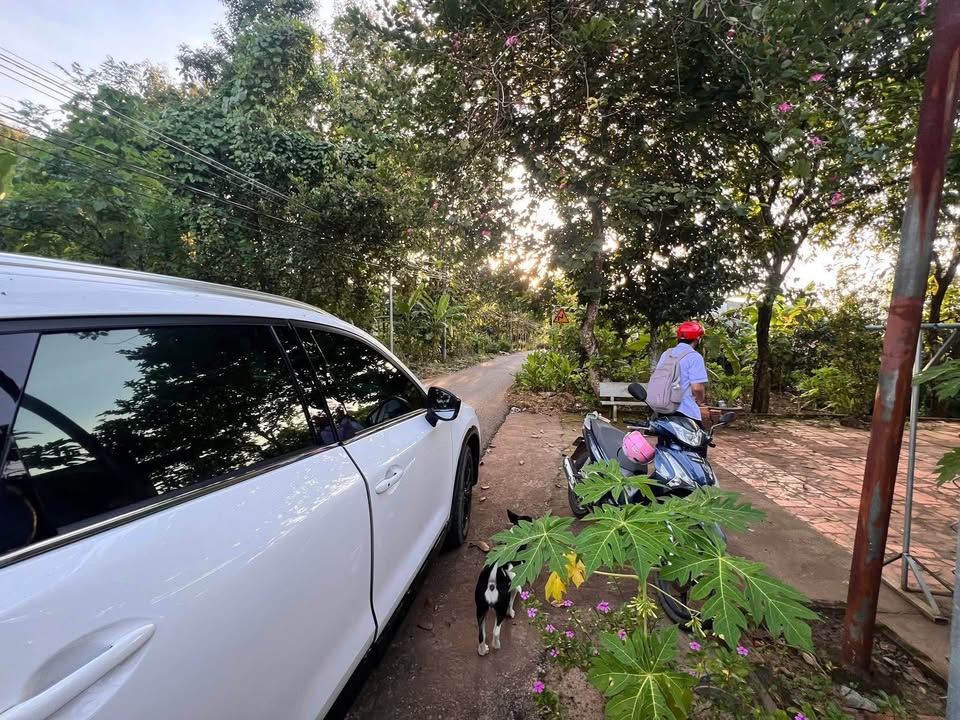 Nhà đường nhựa ấp 1, xã Phú Tân, 116m² giá 480 triệu - Sổ riêng chính chủ!