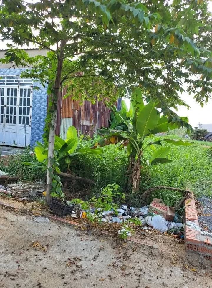 Đất nền Tân Hiệp Hóc Môn 75m² giá 530 triệu - Cơ hội đầu tư hấp dẫn!