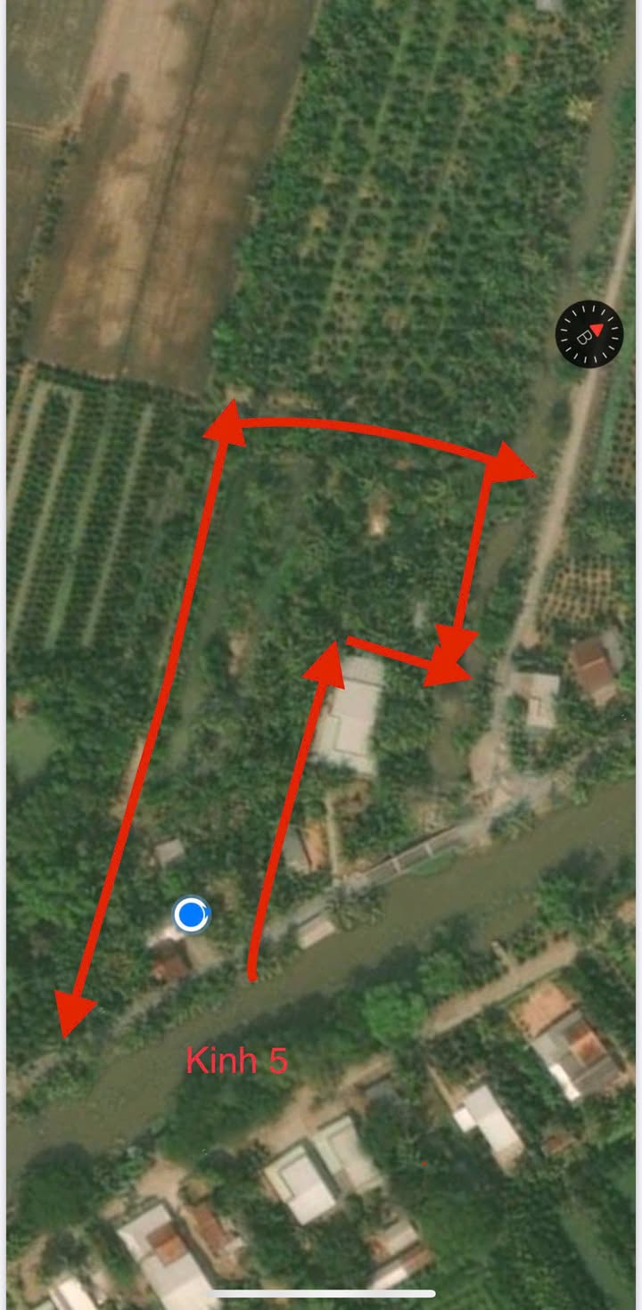 Farm 15,5 hecta sầu riêng Đốc Binh Kiều Đồng Tháp giá 14 tỷ - Cần bán gấp!