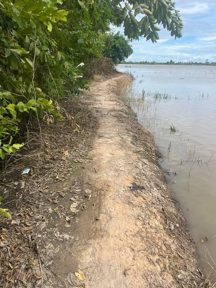 Đất nông nghiệp 18 công tại xã Mỹ Thọ, Đồng Tháp - Giá chỉ 3.33 tỷ, thương lượng!