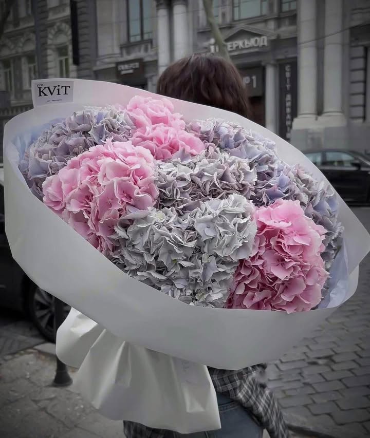 Đất nền chính chủ Quảng Thành, Thanh Hóa 61,5m² giá chỉ 1 tỷ - Cơ hội đầu tư tuyệt vời!