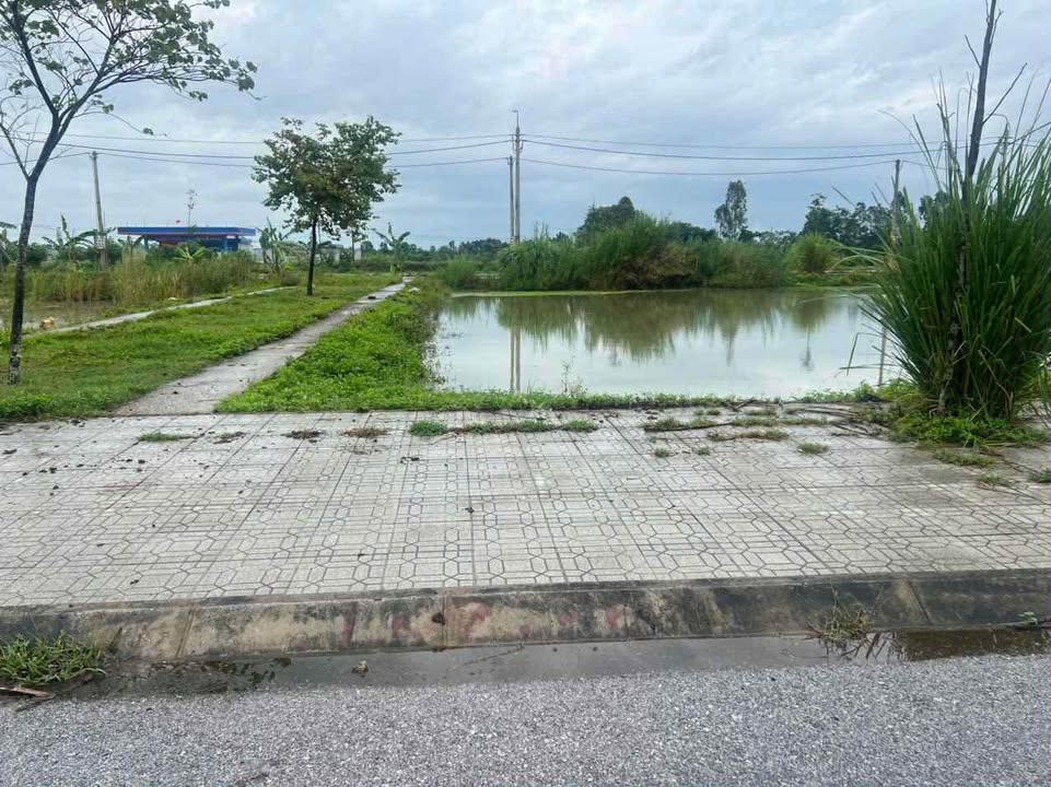 Đất nền Đông Phú, Đông Sơn, 120m² giá 1.2 tỷ - Cơ hội đầu tư hấp dẫn!