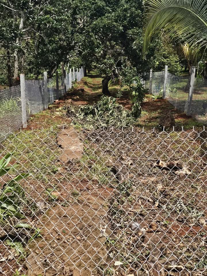 Đất nền phường Tân Lợi Buôn Ma Thuột 898m² giá 1.25 tỷ - Đầu tư sinh lời