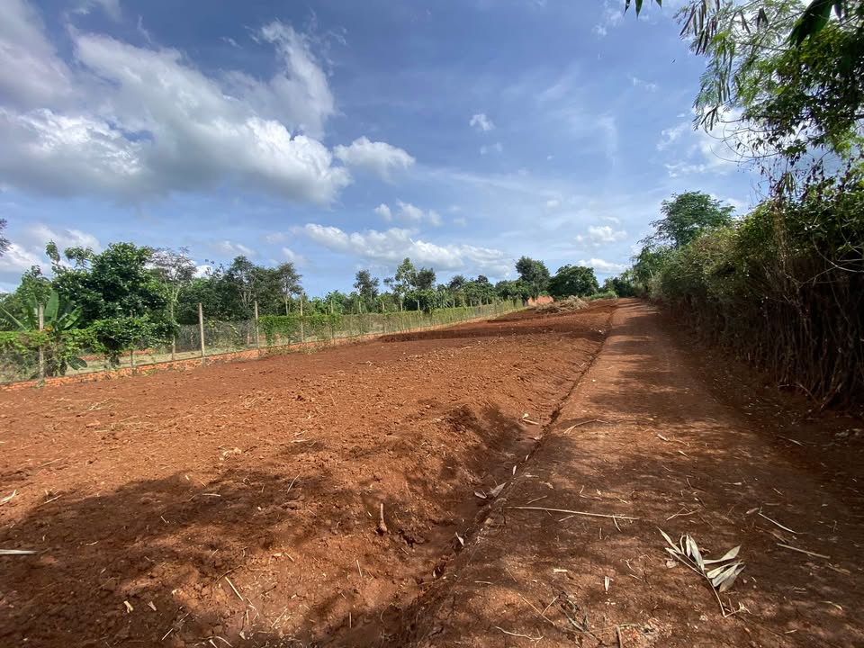 Đất nền phường Ea Tam, Buôn Ma Thuột 500m² giá 799 triệu - Đường bê tông rộng rãi!