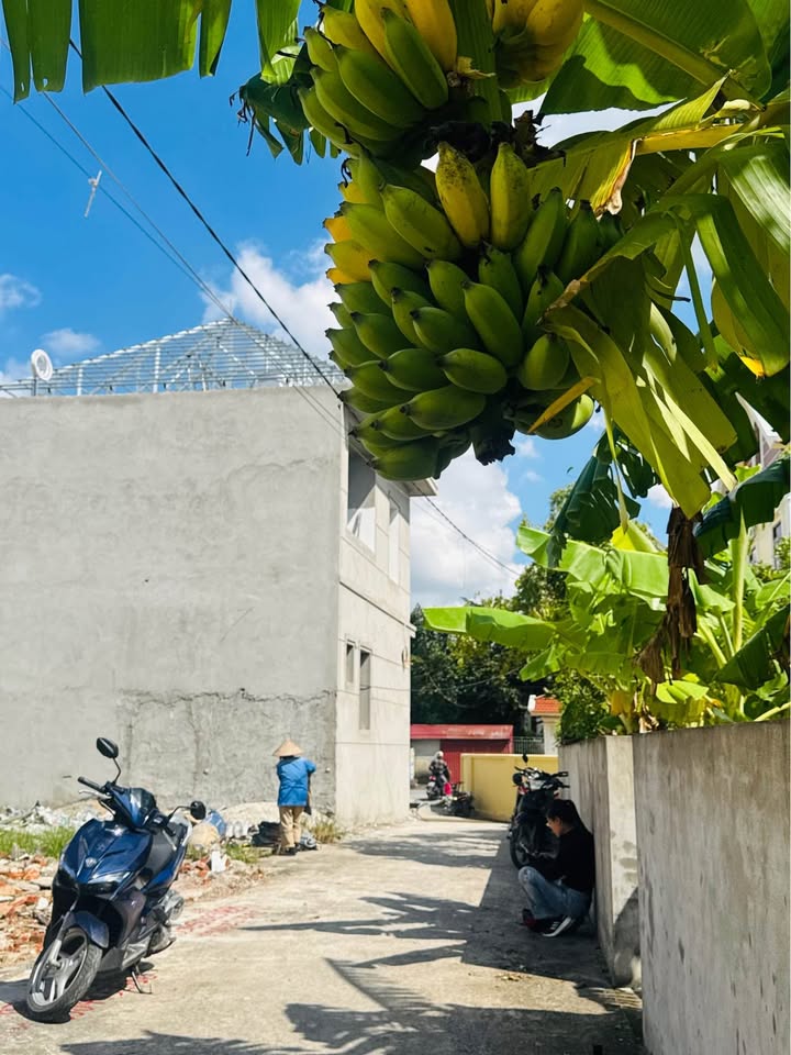 Đất nền Đặng Cương An Dương 53m² - Gần đường trục, giá thỏa thuận hấp dẫn!