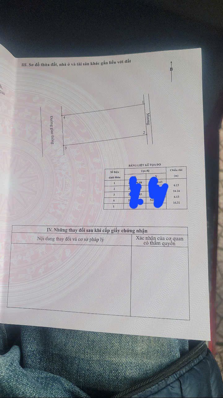 Đất nền thôn Trung Hòa, xã Tân Lâm Hương 99.8m² giá 9xx triệu - Đường rộng, gần chợ!