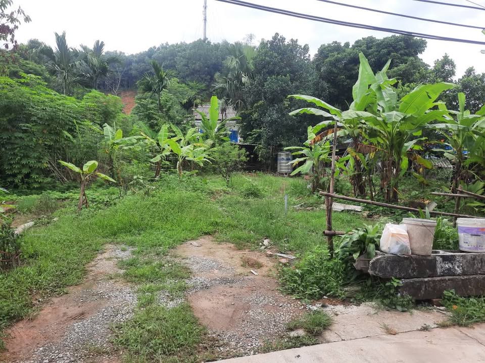 Đất thổ cư 81m² đường Nguyễn Khắc Nhu - Giá chỉ 1.12 tỷ, gần trường học và chợ!