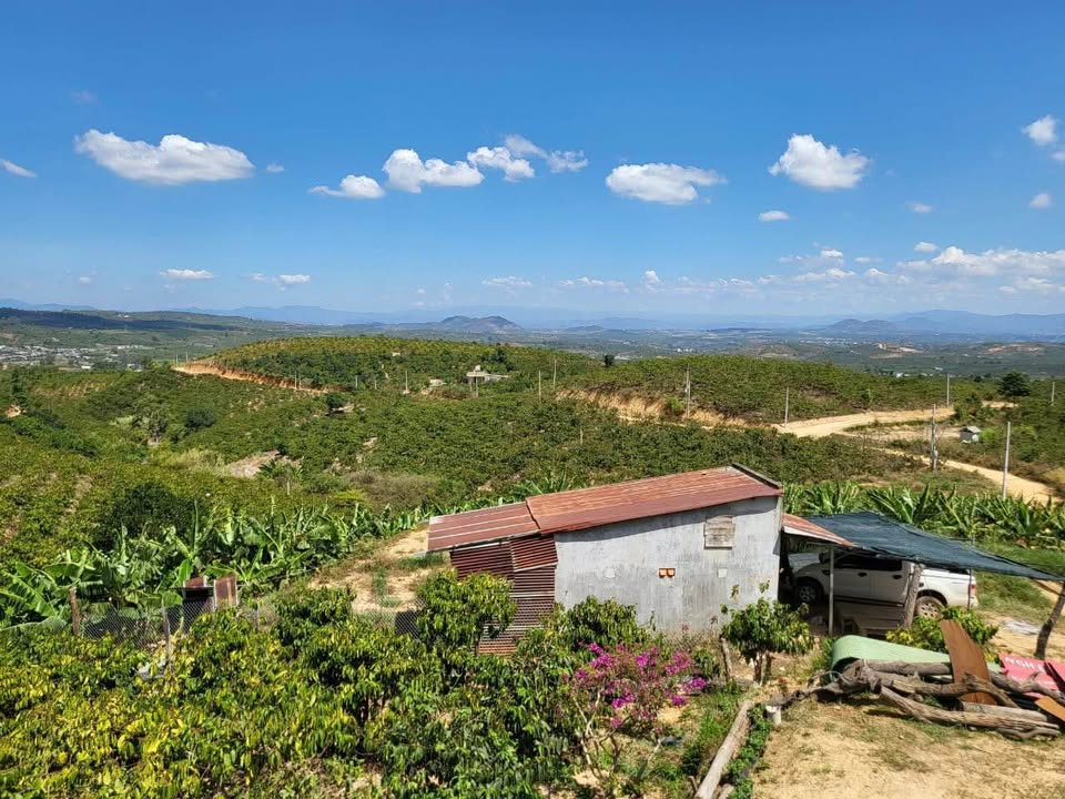 Đất Ninh Gia, Đức Trọng, Lâm Đồng 3ha giá 8.75 tỷ - Phù hợp nghỉ dưỡng