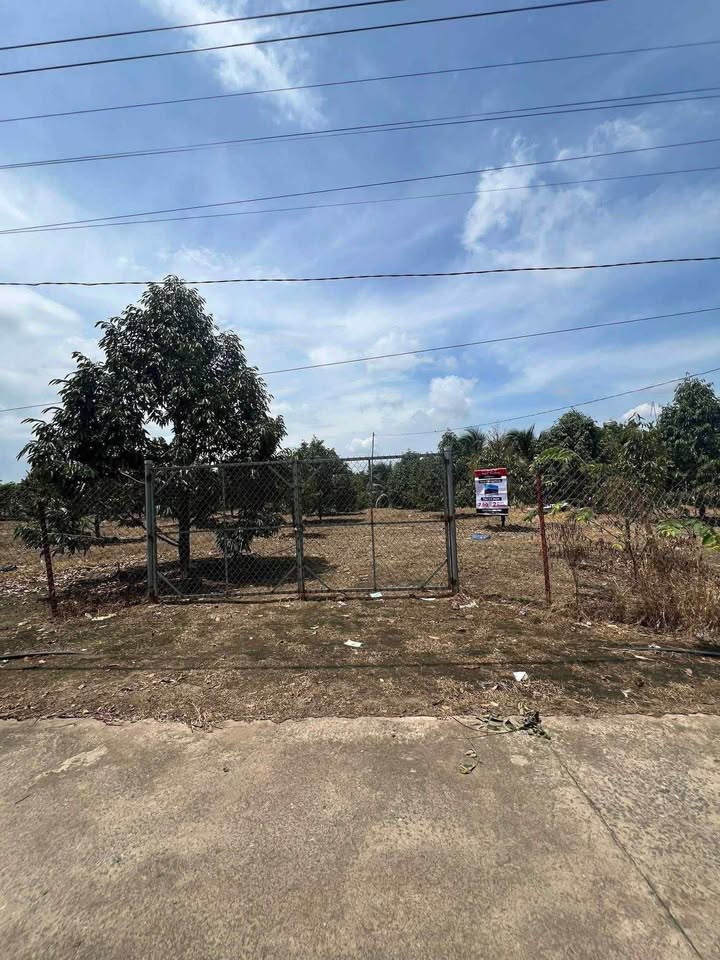 Đất thổ cư Phú Xuân 280m² giá 1.19 tỷ - Cơ hội đầu tư hấp dẫn!