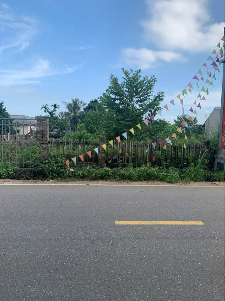 Đất nền Muồng Voi, Vân Hòa, Ba Vì 465m² - Vị trí vàng cho đầu tư!