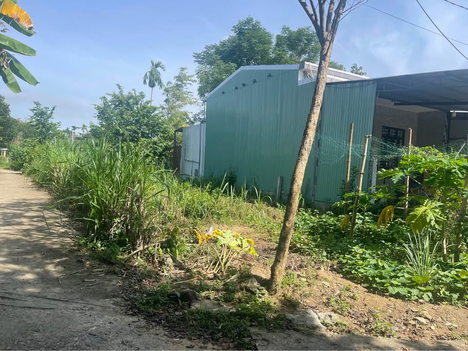 Đất nền Tam Ngọc 147m² giá 500 triệu - Lô góc 2 mặt tiền lý tưởng cho gia đình trẻ!