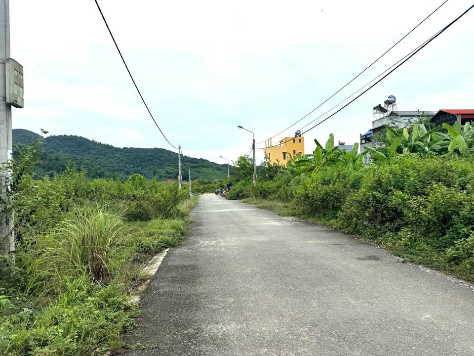 Đất nền chính chủ đường Nguyễn Tuân, Bình Minh, Lào Cai 100m² giá 1.365 tỷ - Vị trí đắc địa, gần mọi tiện ích!