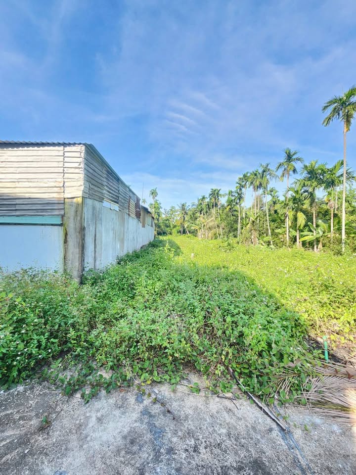 Đất thổ cư Bình Nhâm 70m² giá 1.5 tỷ - Sổ hồng riêng, gần chợ Lái Thiêu!