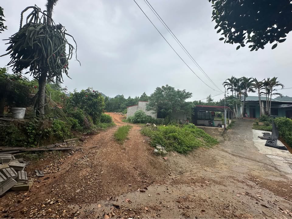 Đất thổ cư tại phường Nông Tiến, Tuyên Quang 92m² giá 700 triệu - Vị trí trung tâm, đầu tư sinh lời!