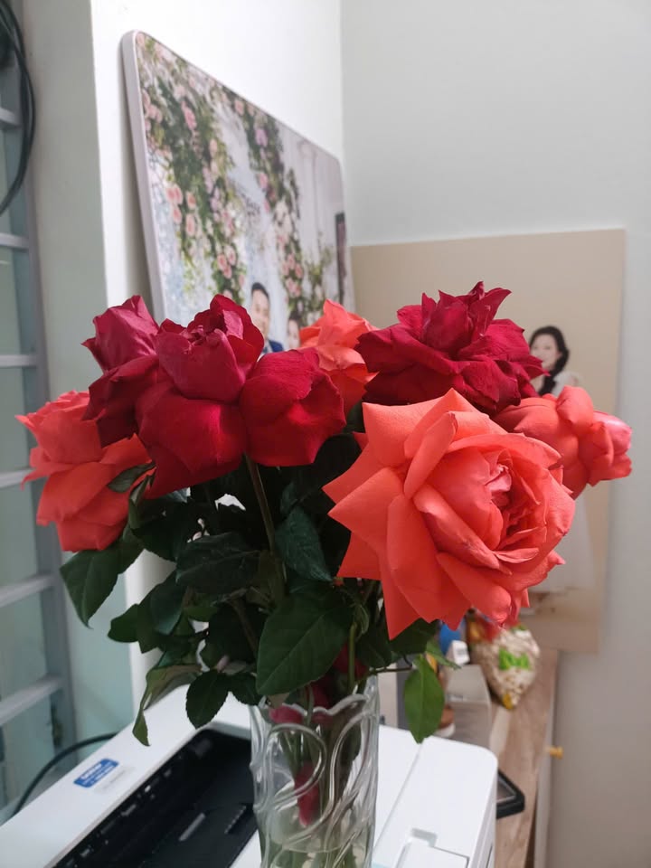 Nhà cho thuê 3 phòng ngủ tại trung tâm Bắc Ninh - Giá chỉ 6 triệu/tháng!