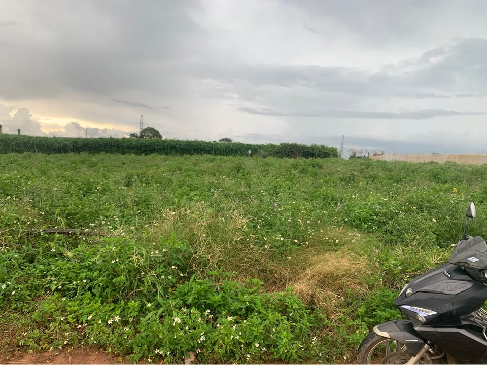 Đất nền Phú Hội, Đức Trọng 240m² giá 1.6 tỷ - Cơ hội đầu tư hấp dẫn!