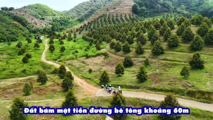 Đất Farm Đạ Lây 60000m² - Sổ đỏ chính chủ, giá thỏa thuận