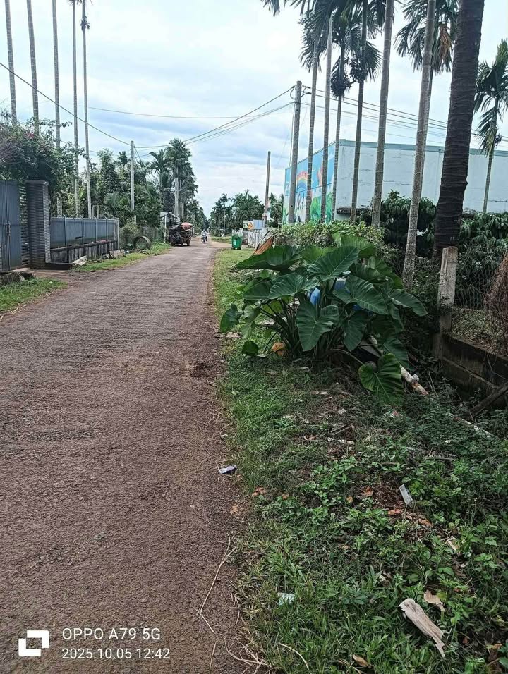 Đất ở xã Ea Ktur, Cư Kuin 210m² - Vị trí thuận lợi, giá thỏa thuận!