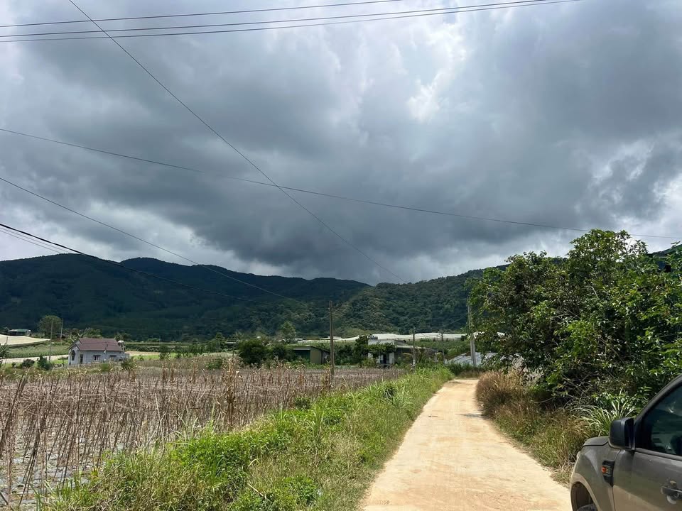 Đất Farm 1400m² tại Tân Hiên, Đơn Dương chỉ 700 triệu - Lợi ích đầu tư hấp dẫn!