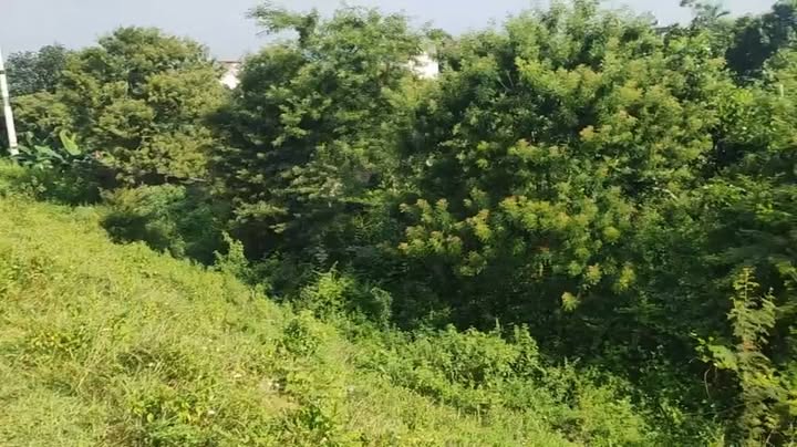 Đất thổ cư 300m² tại Nghĩa Sơn, Sơn Tây, Hà Nội - Giá thỏa thuận hấp dẫn!