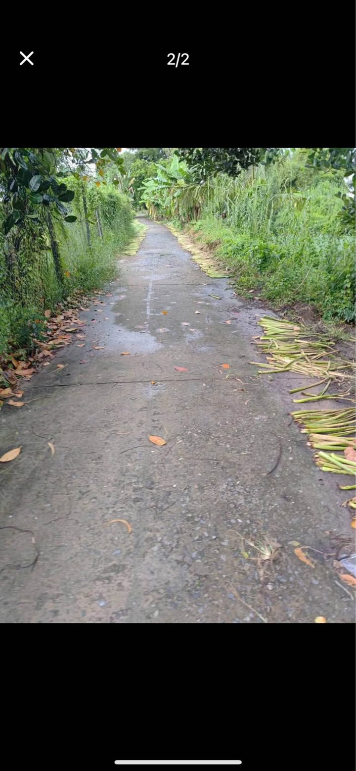 Đất ruộng cho thuê tại Tân Hội Trung 7000m² giá 3 triệu - Mặt tiền 38m, vị trí thuận lợi!