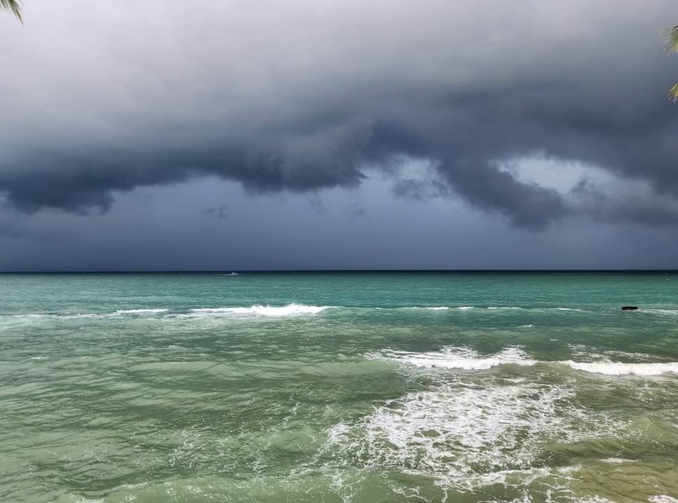 Đất Farm mặt tiền Đông Đảo Phú Quốc 1500m² - Cơ hội đầu tư lý tưởng!