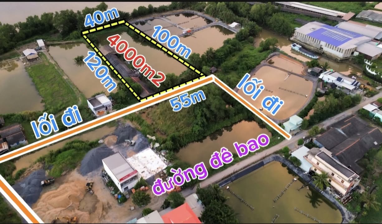 Đất Farm 4000m² tại Phước Đông, Cần Đước - Giá 4.8 tỷ - Tiềm năng đầu tư lớn!