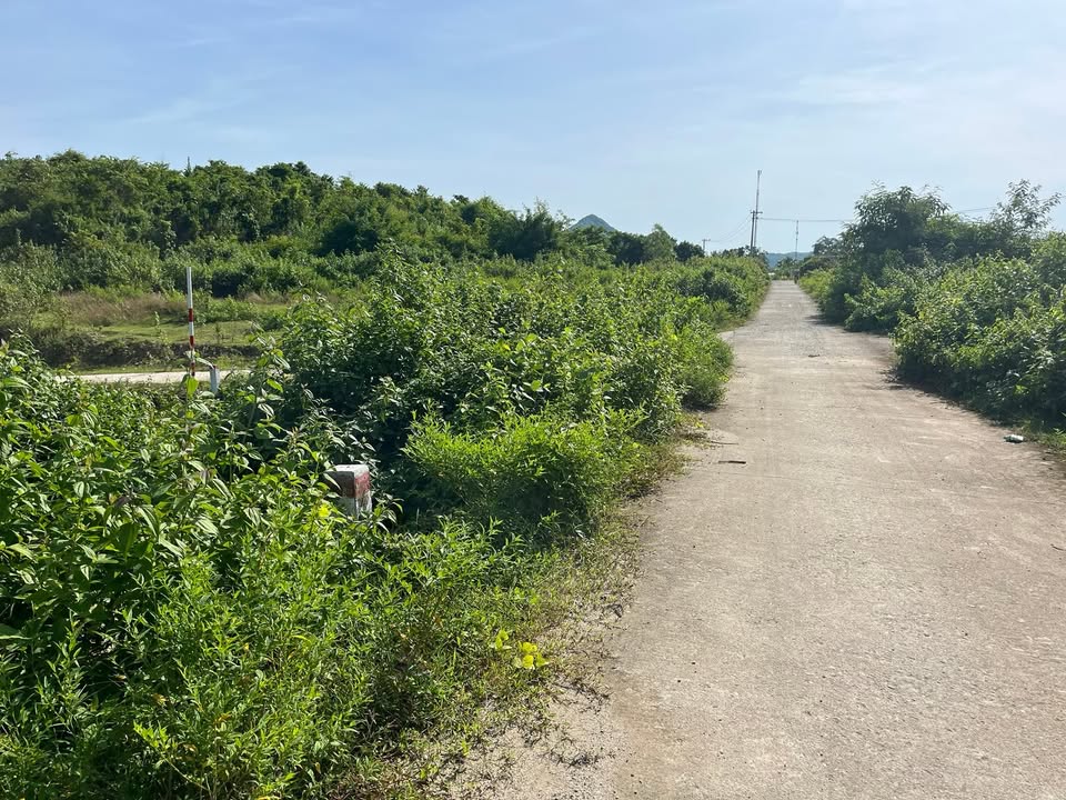 Đất nền Khánh Phú, Khánh Vĩnh 516m² giá 569 triệu - Sổ đỏ chính chủ, oto tận nơi!