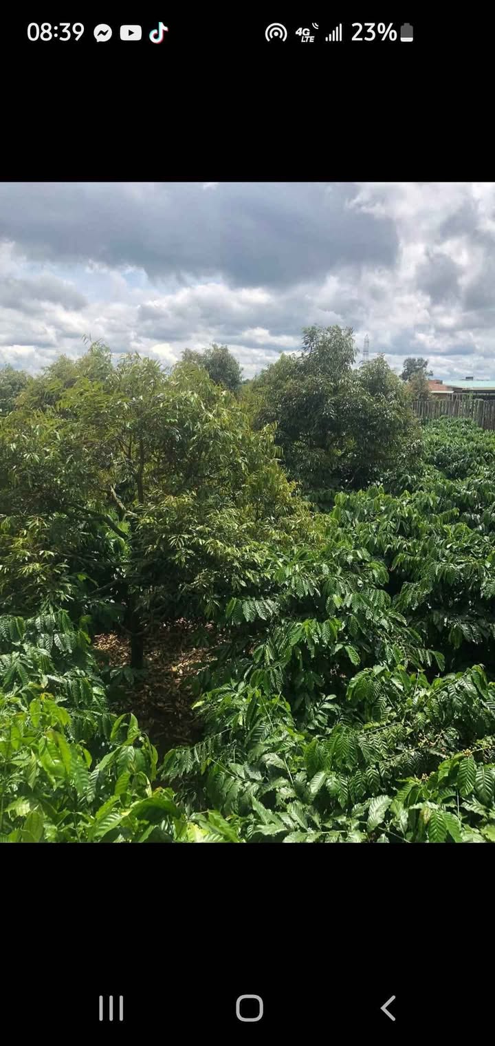 Đất nền 18000m² xã Biển Hồ, TP Pleiku - Cơ hội đầu tư hấp dẫn!