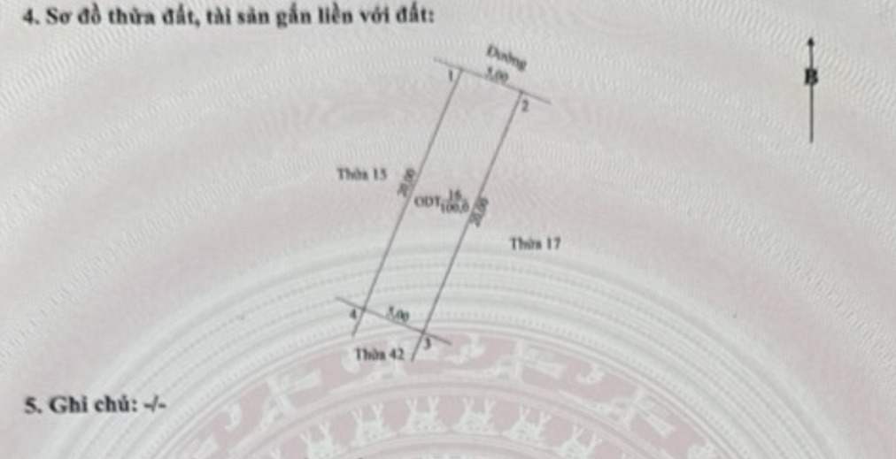 Bán lô đất mặt tiền đường Trần Nhân Tông, Ninh Bình 100m² - Đầu tư sinh lời ngay!