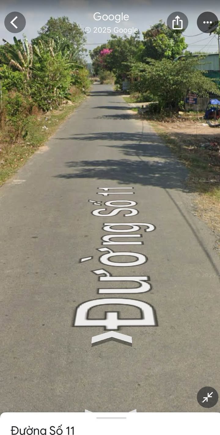 Đất thổ cư đường Số 11, Tóc Tiên, 175m² giá chỉ 1.45 tỷ - Đầu tư sinh lời ngay!