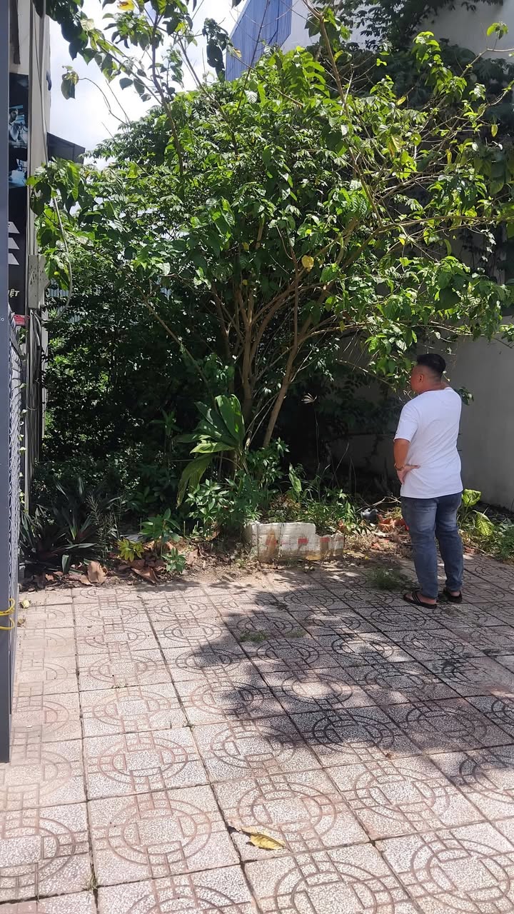 Nhà nguyên căn 180m² tại Mỹ Thới, Long Xuyên - Full nội thất, chỉ 6 triệu/tháng!