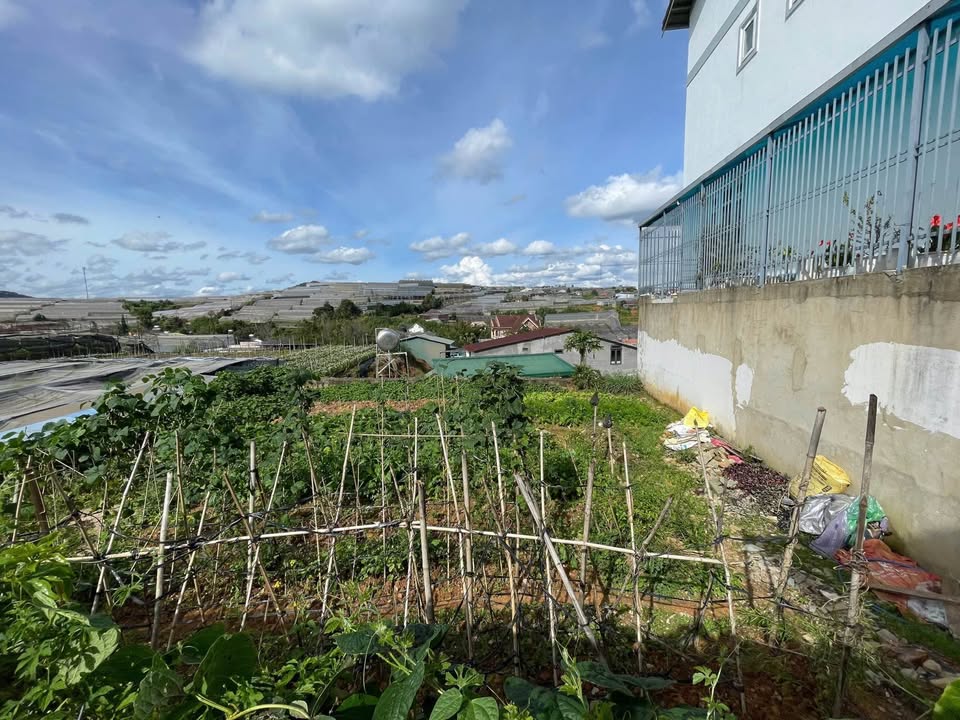 Đất thổ cư 200m² tại Nam Hồ, Đà Lạt chỉ 6.5 tỷ - Đầu tư sinh lời ngay!