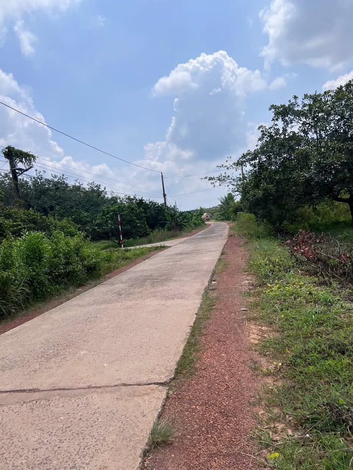 Đất chính chủ Tân Phước 225m² giá 490 triệu - Mặt tiền gần khu nghỉ dưỡng Lalona!