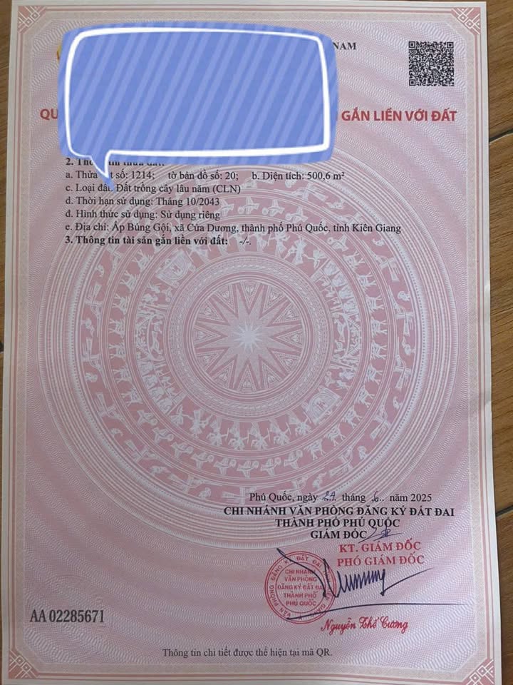 Đất nền 500m² Búng Gội - Giá 2 tỷ - Đầu tư sinh lời lý tưởng!