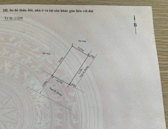 Nhà độc lập lô góc Miếu Hai Xã 35m² giá 4.05 tỷ - Vị trí siêu đẹp, kinh doanh tốt!