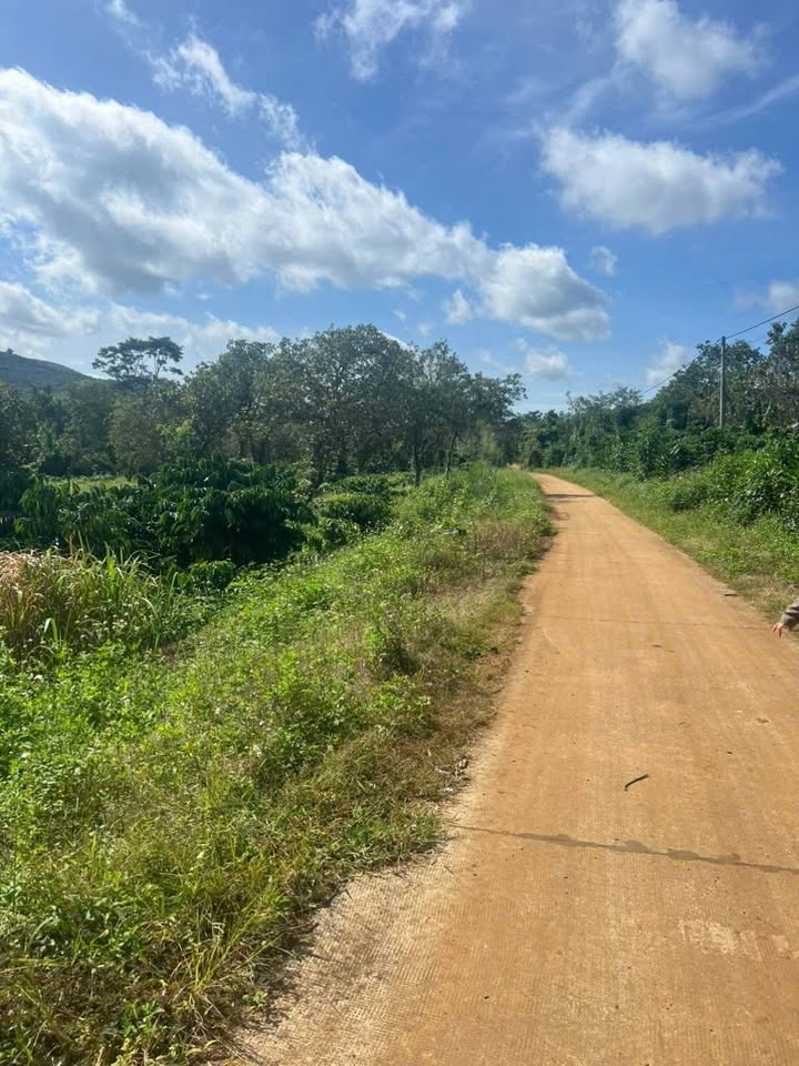 Đất nền Quảng Tân 200m² giá 2.5 tỷ - Tiềm năng đầu tư lớn!