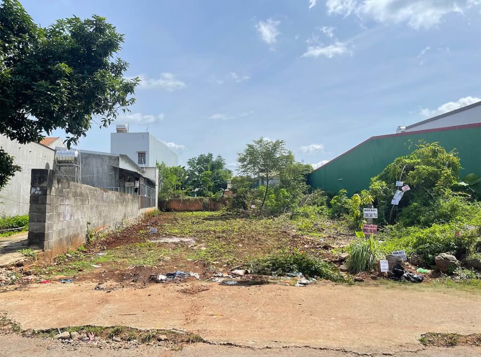 Đất nền biệt thự đường Nguyễn Đình Hoàng, Buôn Ma Thuột 320m² giá 6.95 tỷ - Đầu tư sinh lời hấp dẫn!