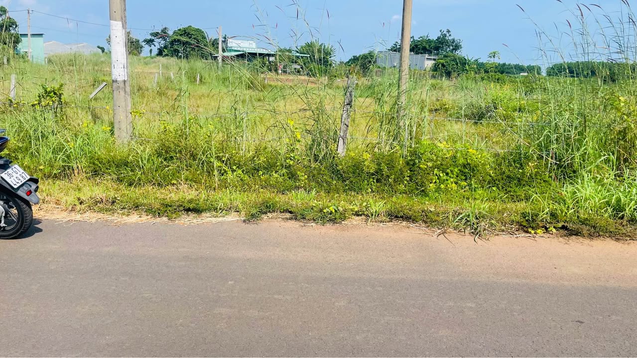 Đất mặt tiền Phạm Duy Trinh, Thị Trấn Đất Đỏ, 531m² giá 1.5 tỷ - Đầu tư sinh lời ngay!