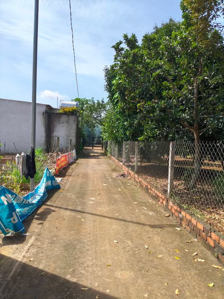 Đất nền chính chủ tại phường Bầu Sen 100m² giá 890 triệu - Cơ hội đầu tư hấp dẫn!