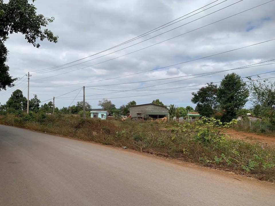 Bán Lốc 4 Lô Đất Liền Kề Đường Nhựa Liên Xã Ea Tar, Cư M'gar, Đắk Lắk - Giá Chỉ Từ 530 Triệu!