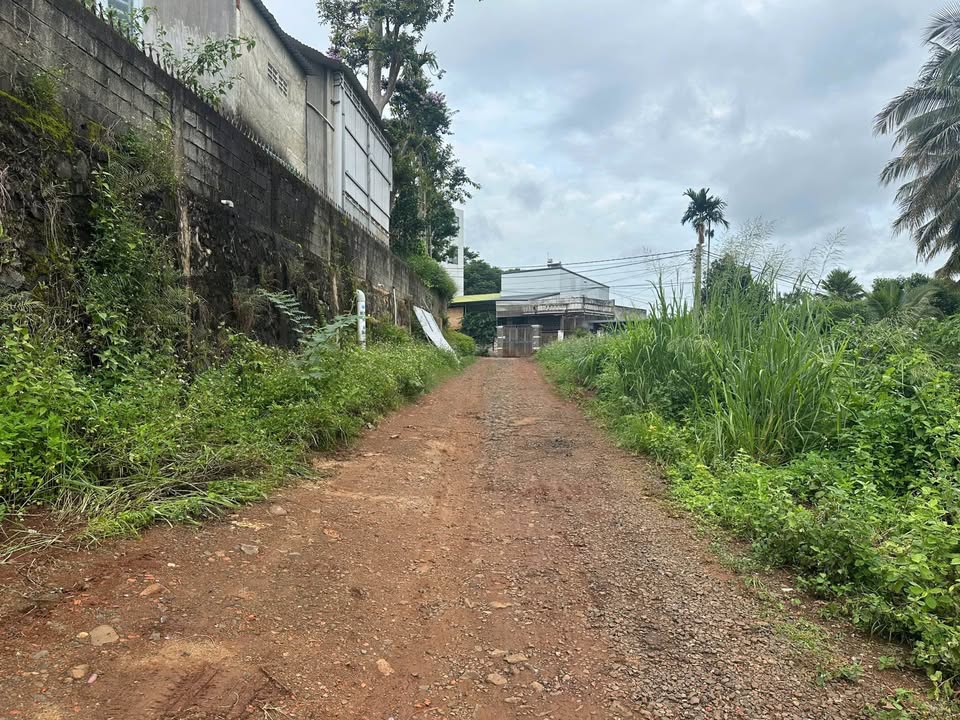 Đất nền Tân Hòa Buôn Ma Thuột 138m² giá 1.6 tỷ - Đầu tư sinh lời cao!