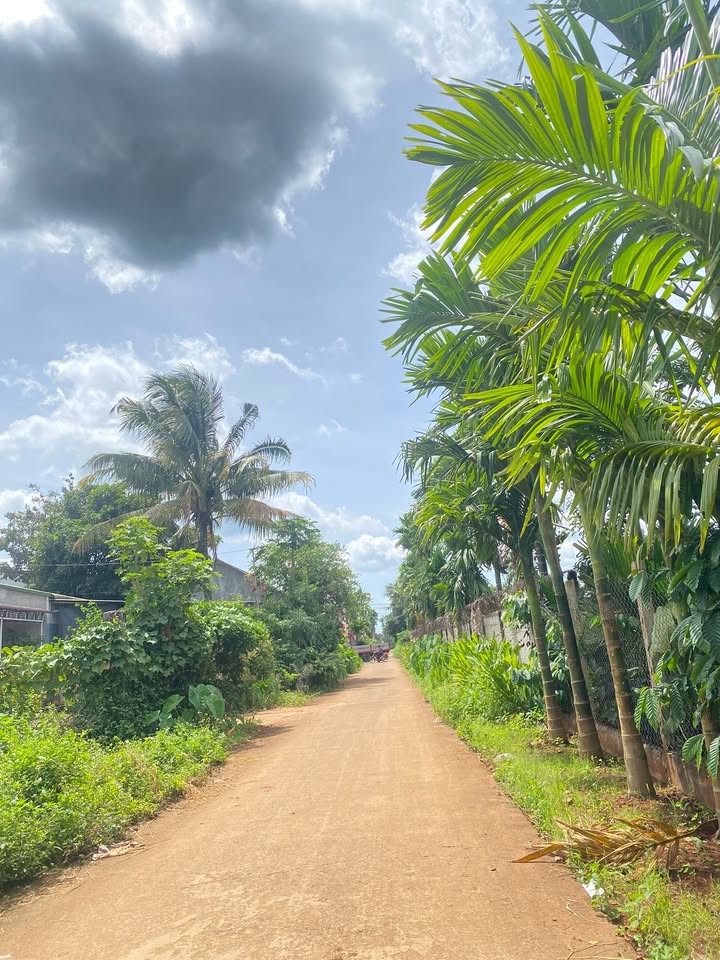 Bán đất mặt tiền D3- Eatu Buôn Dù, Tân An, 180m² - Đầu tư lý tưởng!