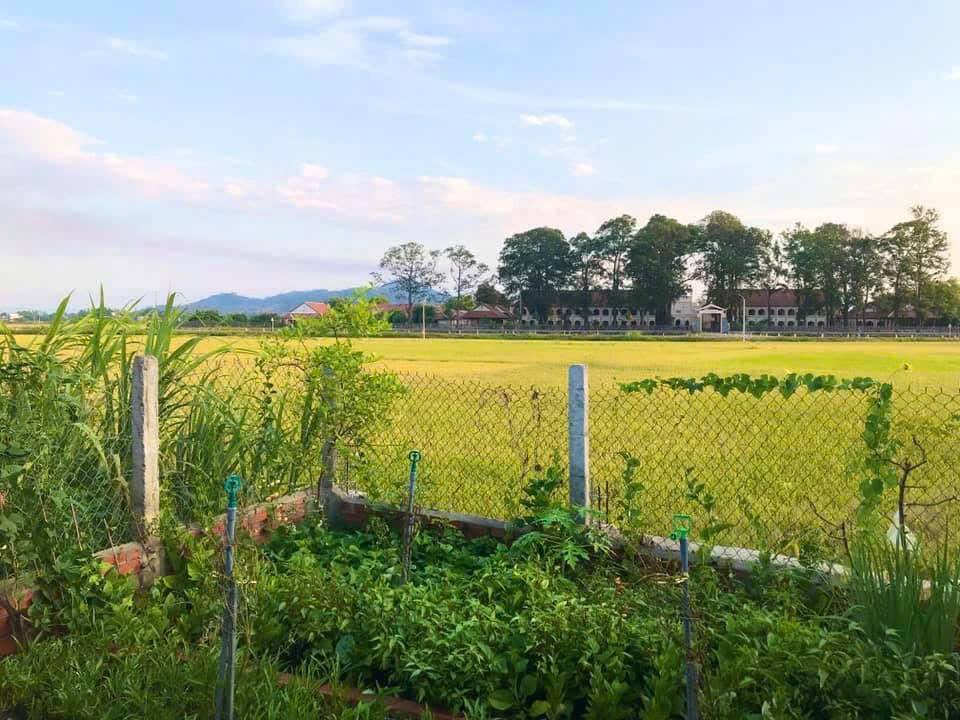 Đất vườn Phước Thuận 97m² giá 2.07 tỷ - View sông mát mẻ gần trung tâm!