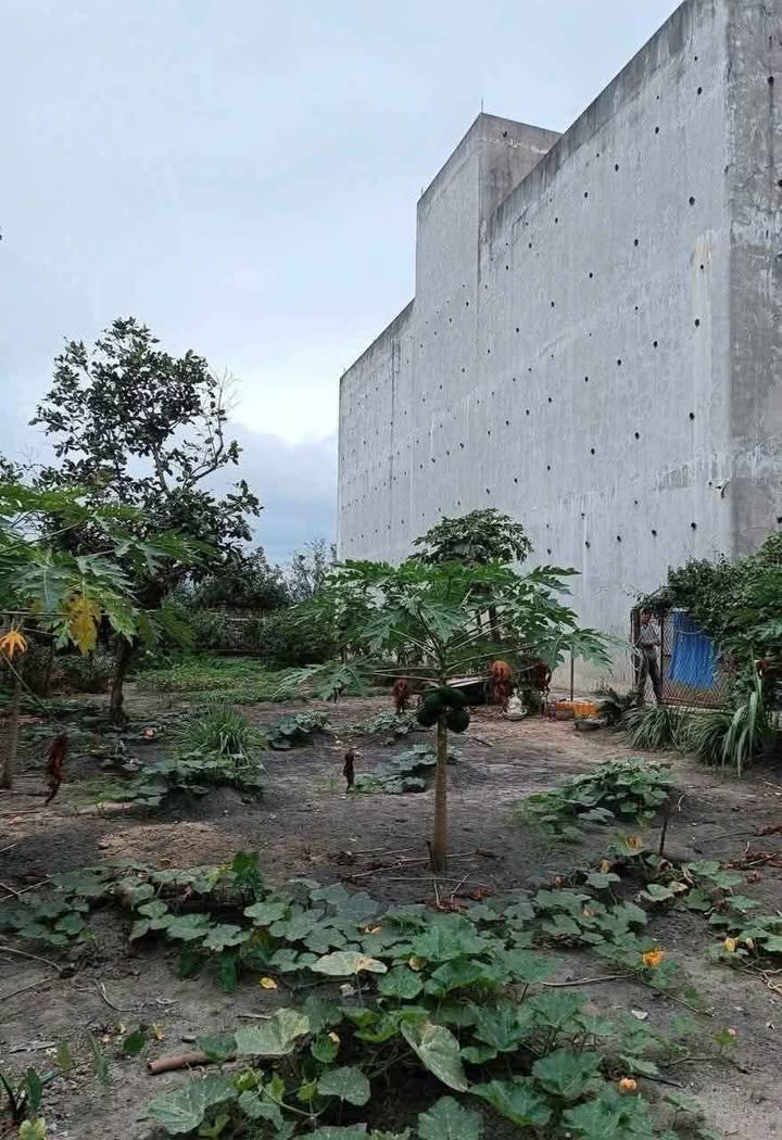 Đất và Nhà Yến Phước Thuận Tuy Phước 1227.8m² giá 6 tỷ - Sổ đỏ chính chủ!