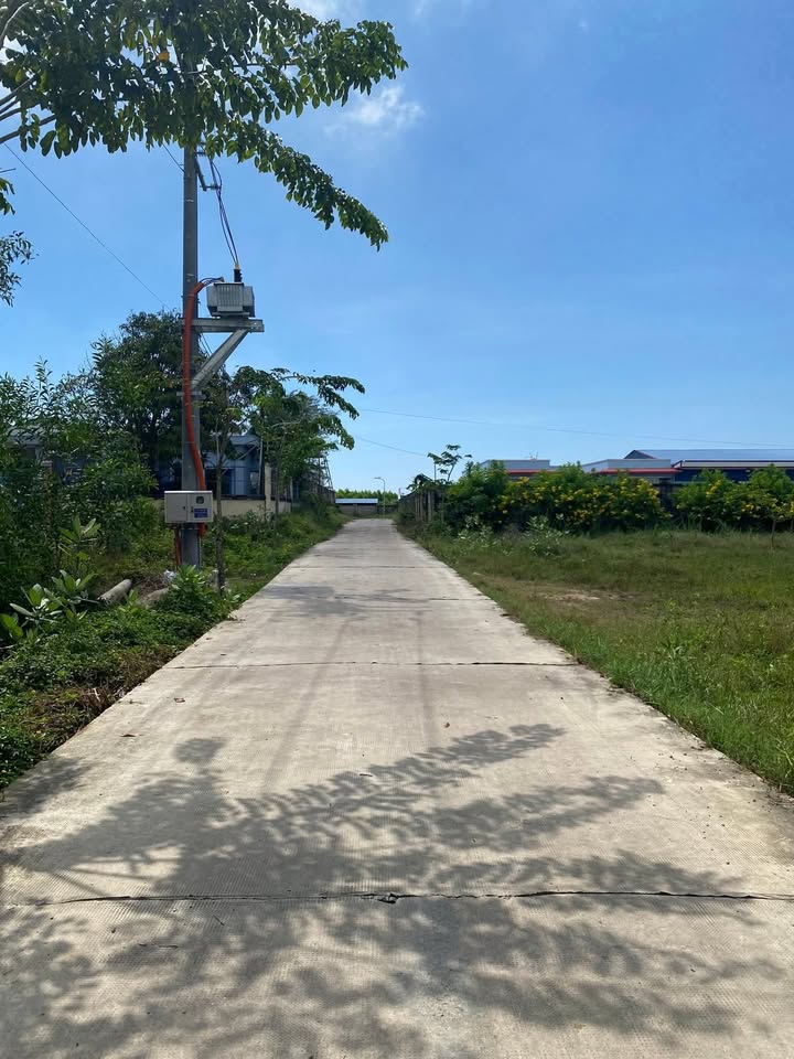 Đất cây lâu năm 1300m² tại Tôn Đức Thắng, La Gi - Giá chỉ 2.1 tỷ!