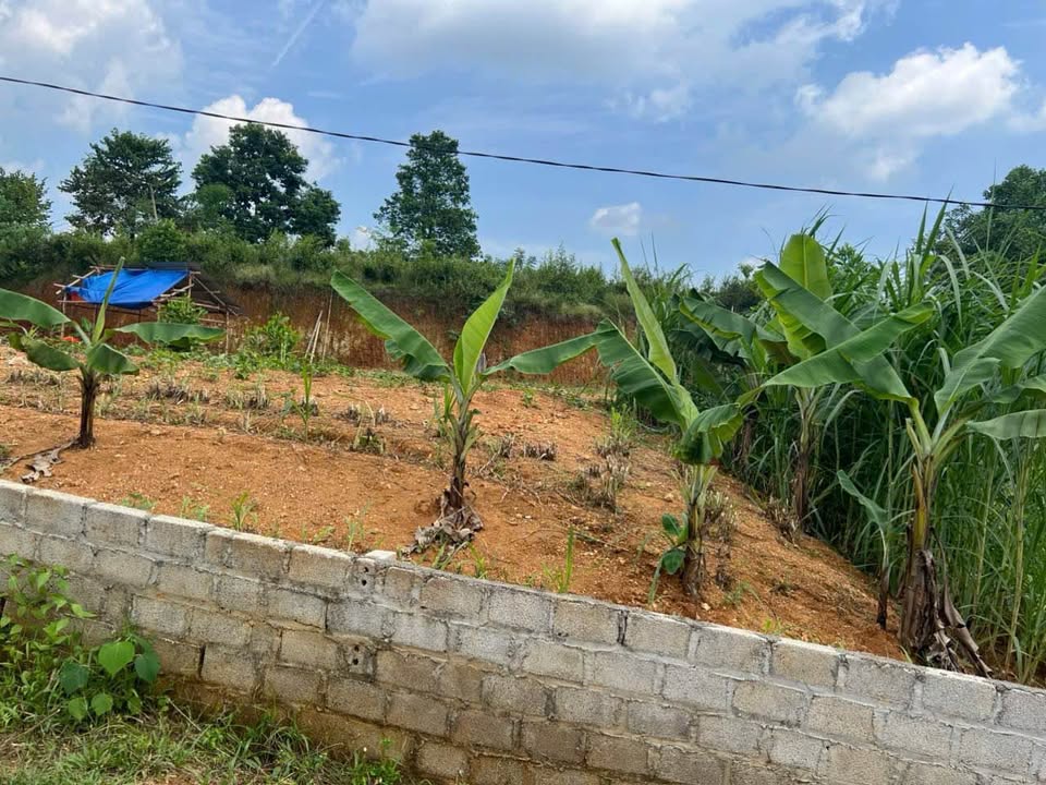 Đất thổ cư 125m² xã Tân Sơn giá chỉ 200 triệu - Cơ hội đầu tư tuyệt vời!