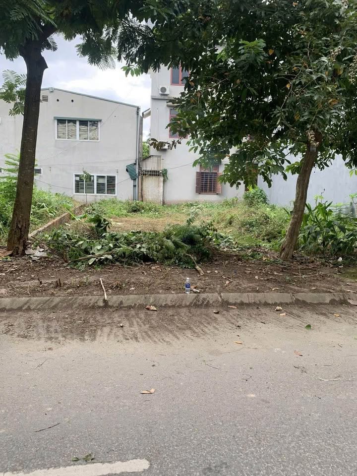 Đất thổ cư đường Quang Trung, Dữu Lâu, Việt Trì 99m² giá 5.8 tỷ - Sổ đỏ chính chủ!